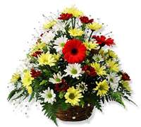 Envio y venta de flores ,rosas, plantas,arreglos florales ,regalos y desayunos a domicilio con delivery gratis en la Ciudad Autonoma de Buenos Aires y con costo de envo en localidades del Gran Buenos Aires asi como delivery de flores y plantas a travs de florerias asociadas en todas las provincias de la Argentina, Buenos Aires, la Pampa, Tucuman, La Rioja, Ro Negro, Entre Rios, Corrientes, Misiones, Neuquen, Chubut, Tierra del Fuego, Santa Cruz, San Luis, Mendoza, Cordoba, Jujuy, Formosa, Santiago del Estero, Salta, Chaco, Catamarca ,San Juan, y ademas realizamos el delivery de flores ,coronas,palmas , plantas y regalos a todas las ciudades de Argentina, Mar del Plata, Crdoba, Buenos Aires, con cargo en Santa Rosa, La Plata, Bella Vista, Neuquen, Pilar, Paran, Posadas, Resistencia, Cipolleti y mas de 300 ciudades y localidades en todo el territorio de nuestro pas, asi como tambien tenemos la posibilidad de enviar flores a casi todo el mundo en cuestion de horas